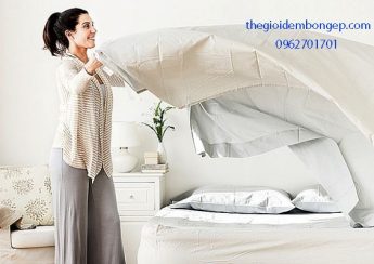 Vệ sinh ruột đệm bông ép Hanvico