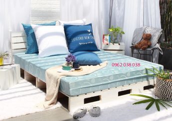 nệm bông ép Everon basic