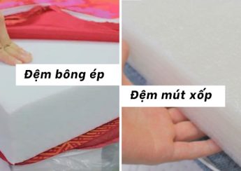 Nên chọn đệm bông ép hay đệm mút xốp