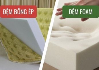 Nên mua đệm bông ép hay đệm foam
